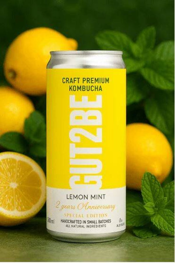 Fermentierter Tee CRAFT PREMIUM-Kombucha Zitrone & Minze 24 x 330ml