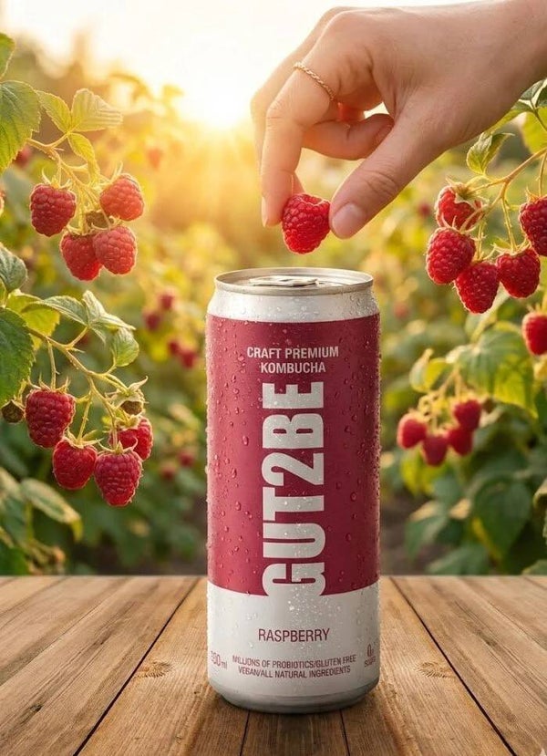 Fermentierter Grüner Tee CRAFT PREMIUM-Kombucha Himbeere 12 x 330ml