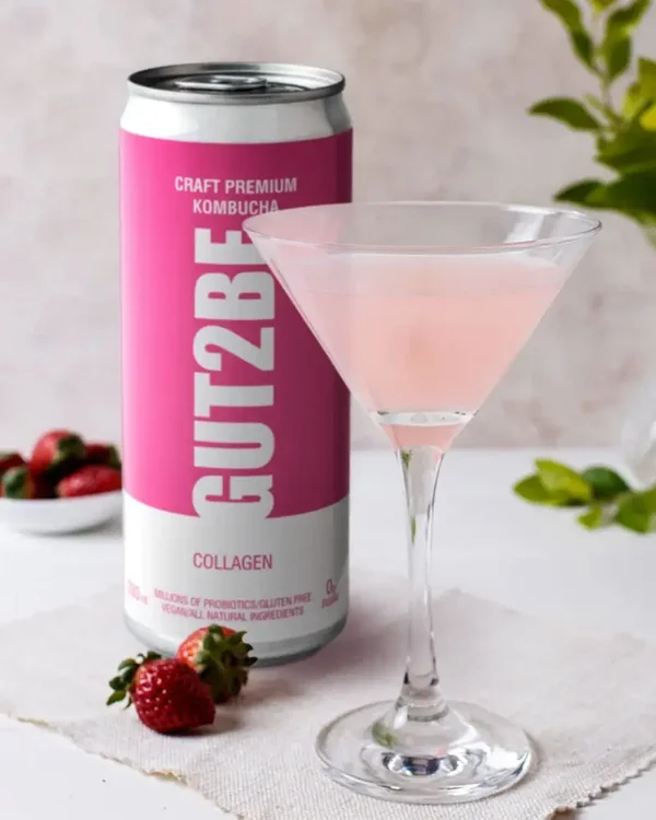 Fermentierter Tee CRAFT PREMIUM-Kombucha mit Kollagen 24 x 330ml