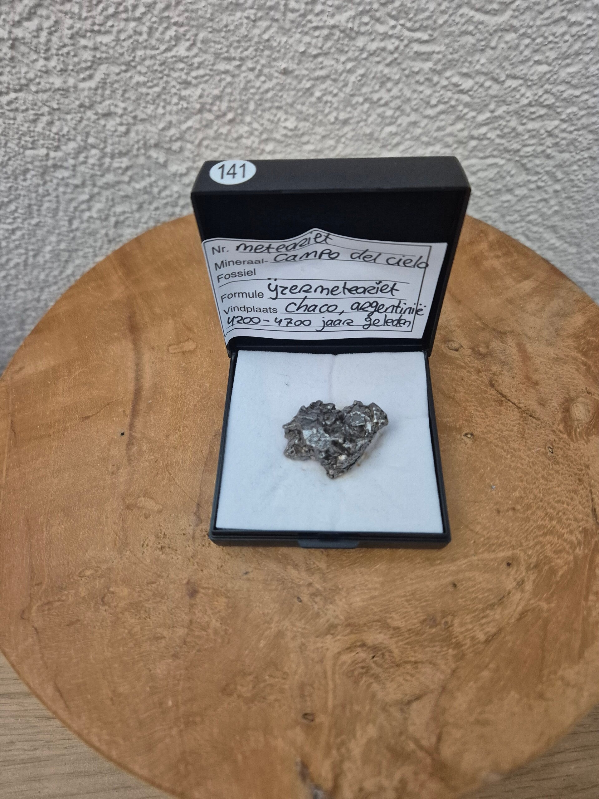 Meteoriet campo del cielo nr141
