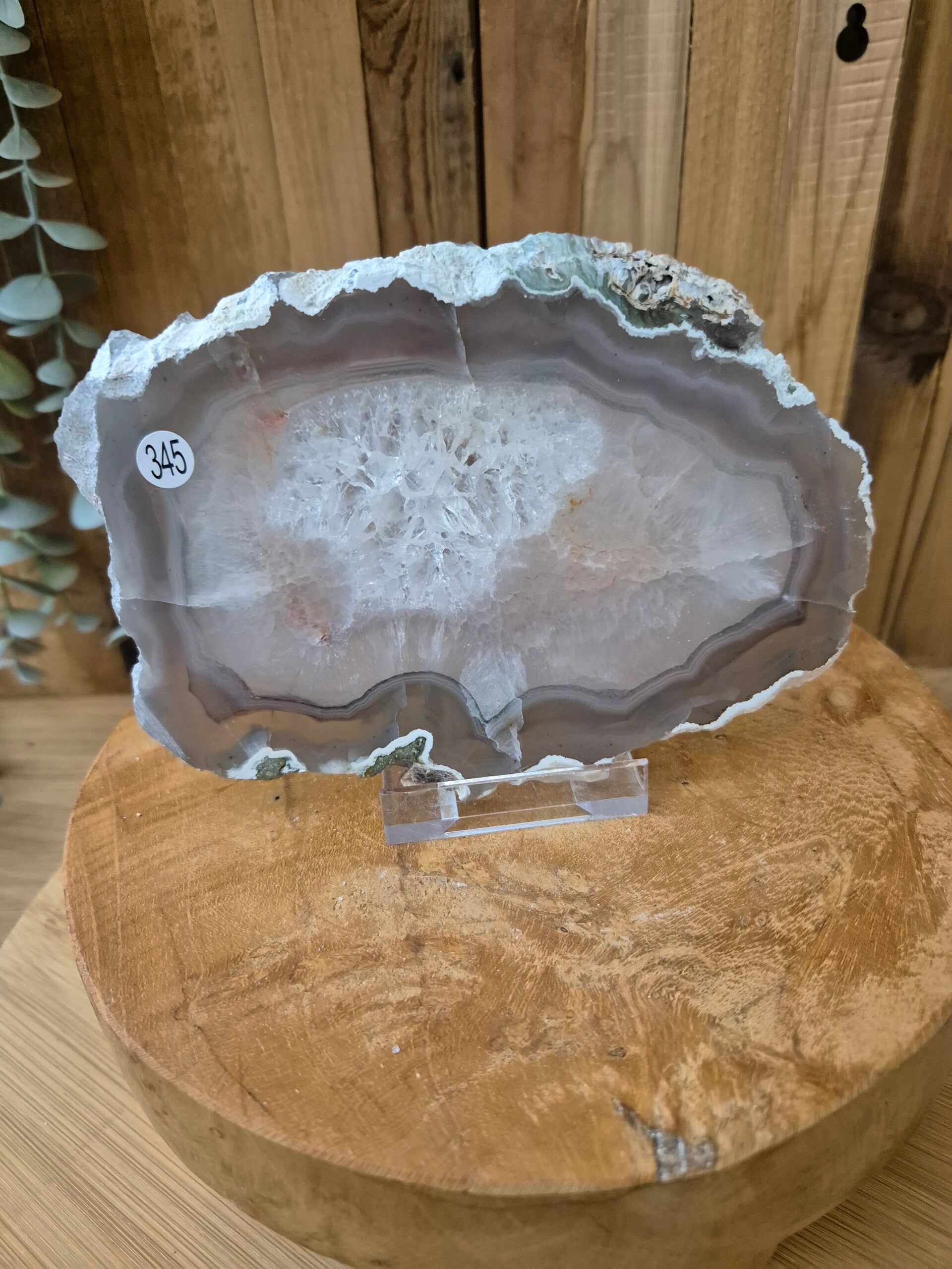 Agaatschijf nr345