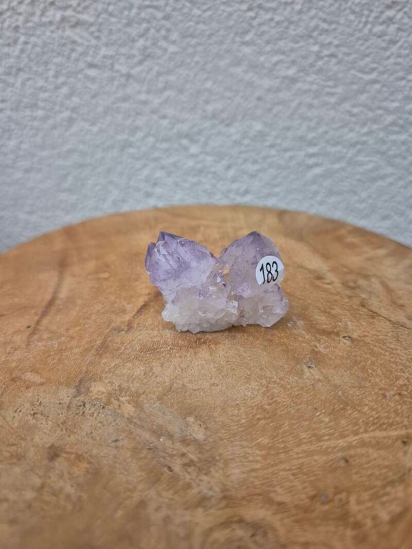 Spirit-cactus amethist nr183