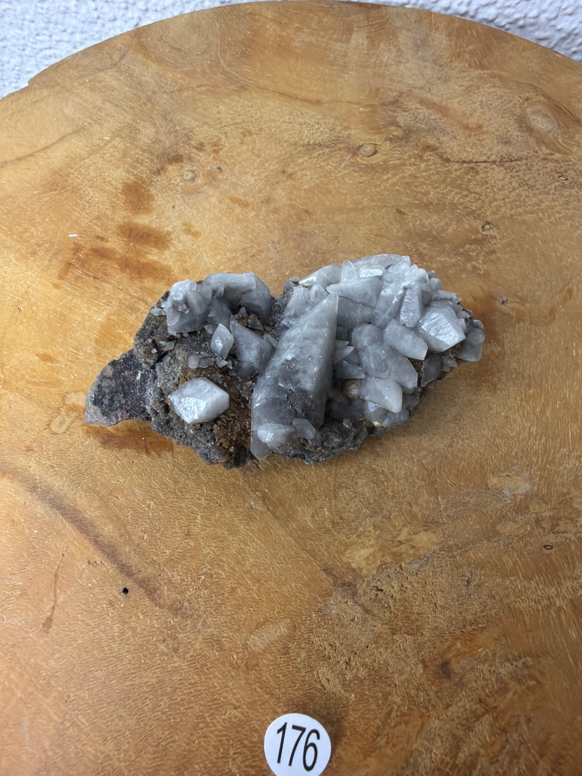 Hondentand calciet nr176