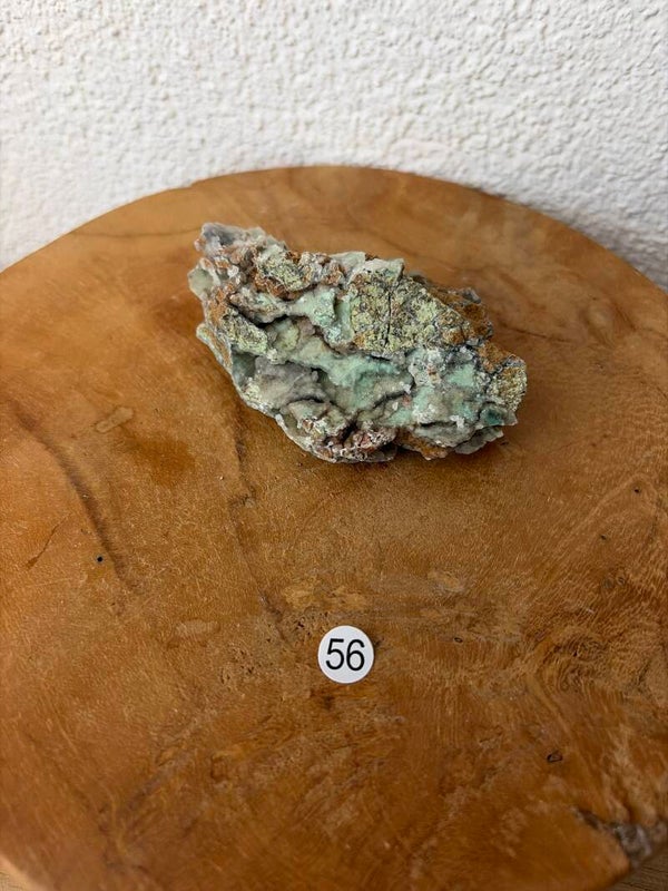Garnieriet Indonesië nr56