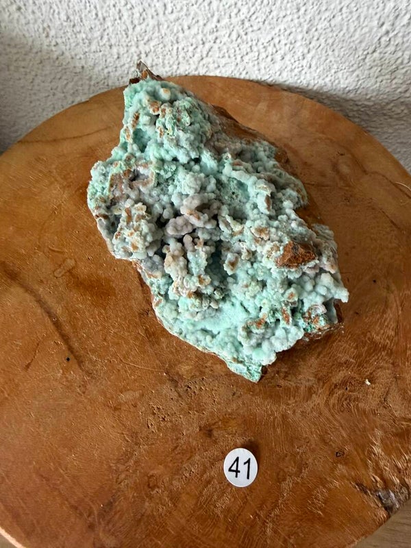 Garnieriet Indonesië nr41