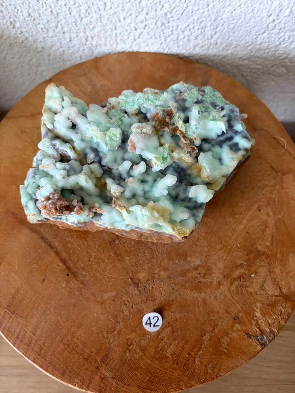 Garnieriet Indonesië nr42
