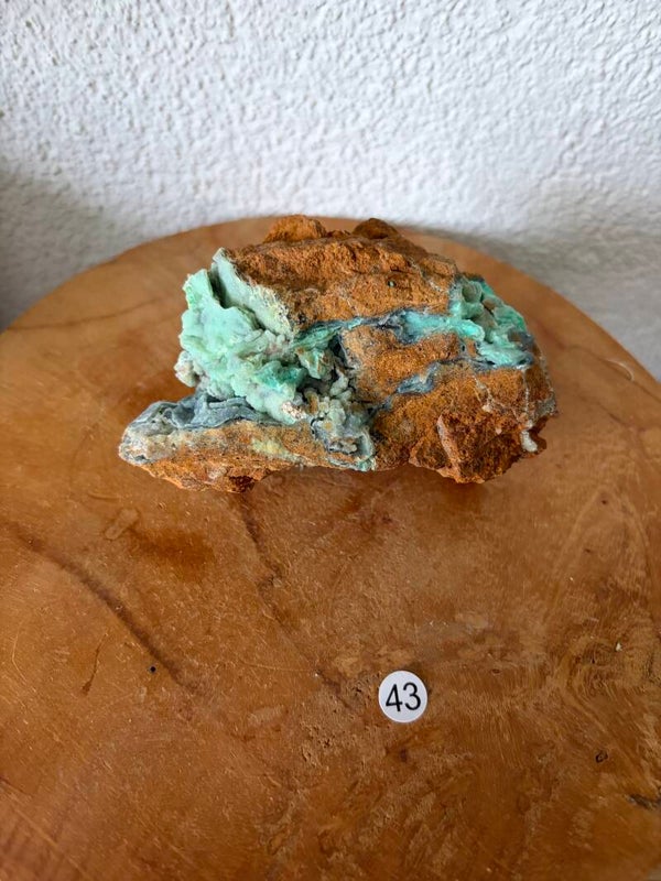 Garnieriet Indonesië nr43