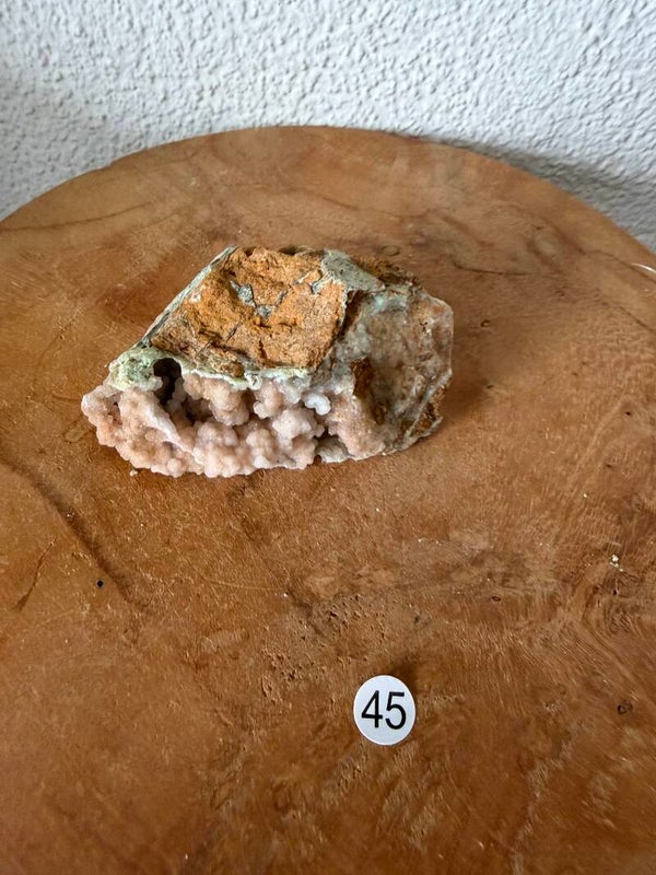 Garnieriet Indonesië nr45