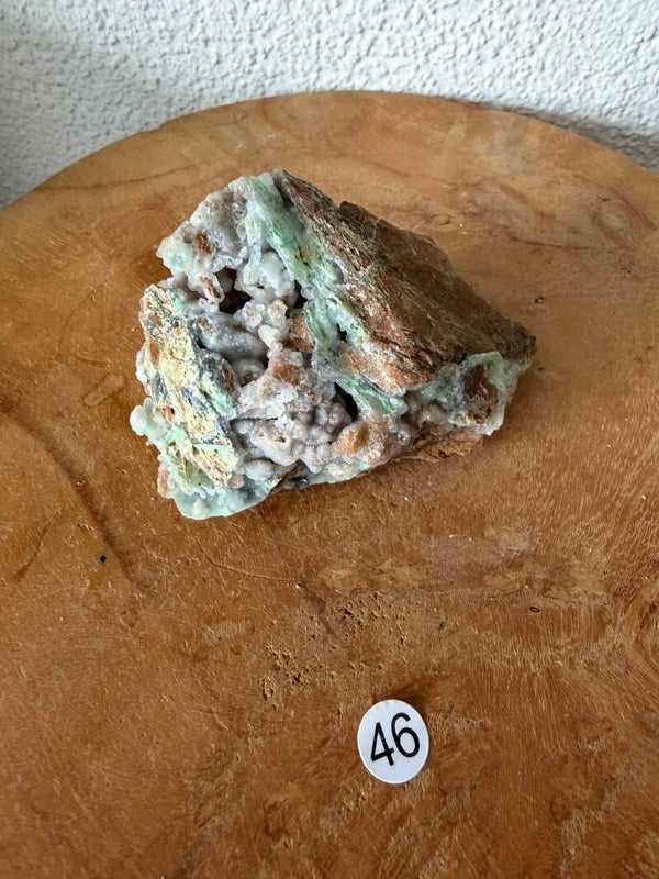 Garnieriet Indonesië nr46