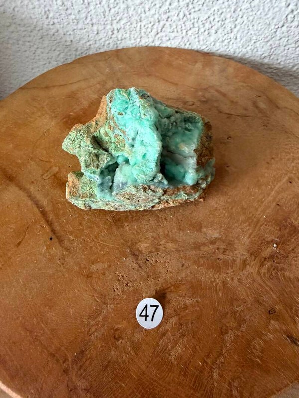 Garnieriet Indonesië nr47