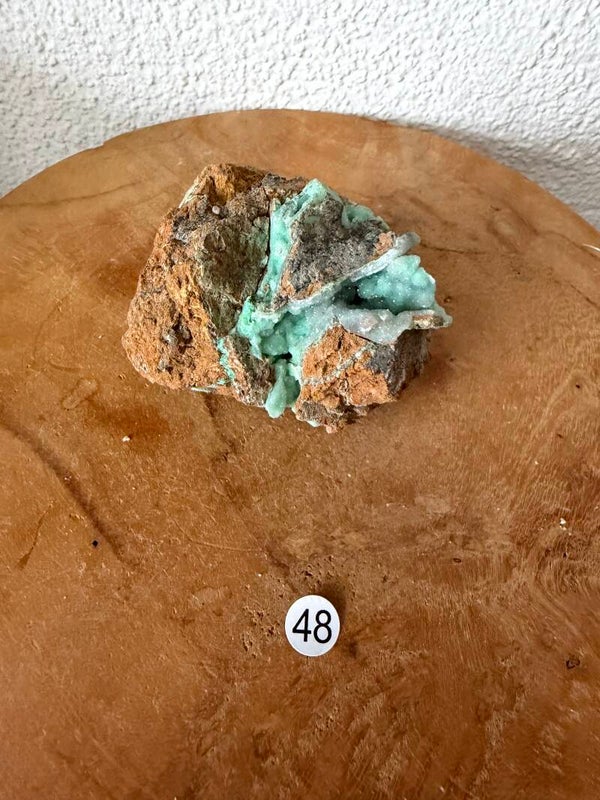 Garnieriet Indonesië nr48