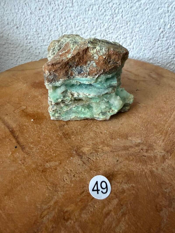 Garnieriet Indonesië nr49