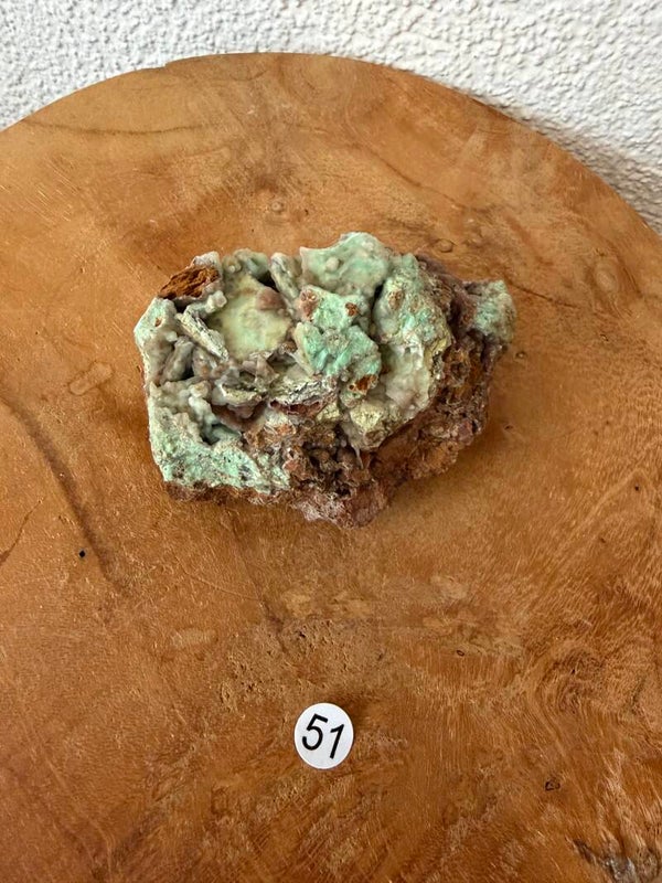 Garnieriet Indonesië nr51