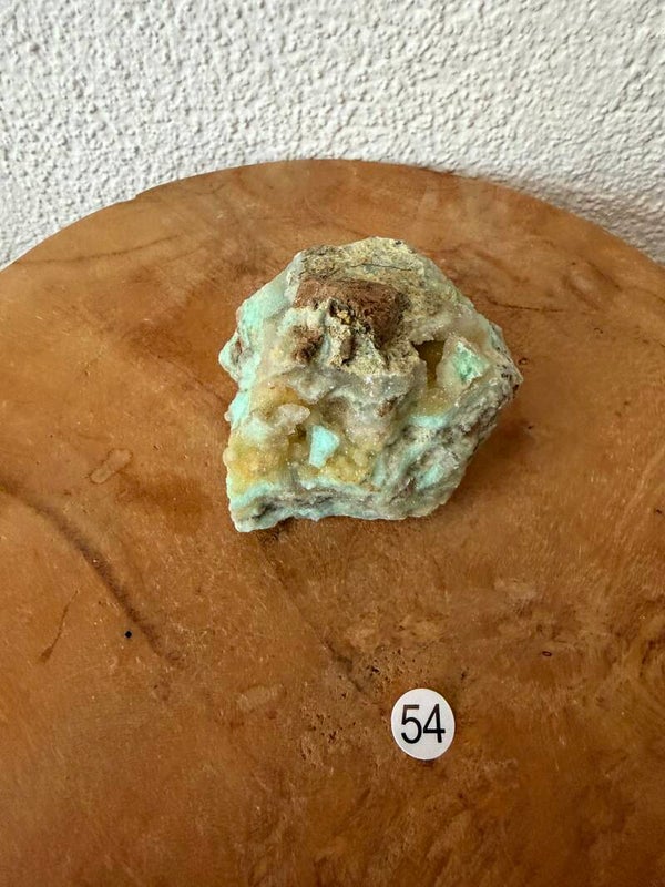 Garnieriet Indonesië nr54