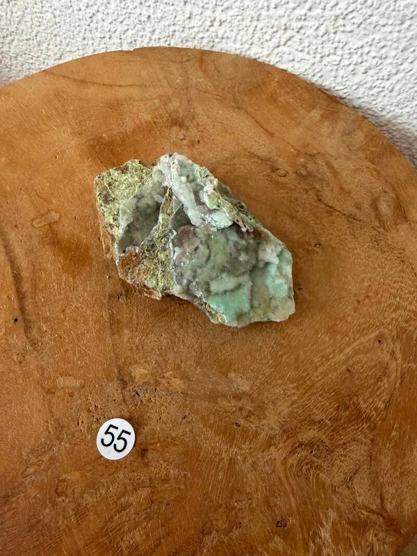 Garnieriet Indonesië nr55