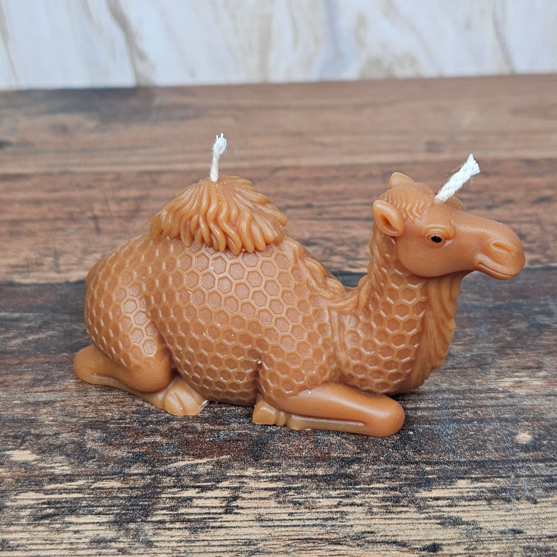 Dörte das Dromedar