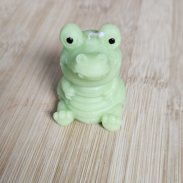 Krokodile (1)