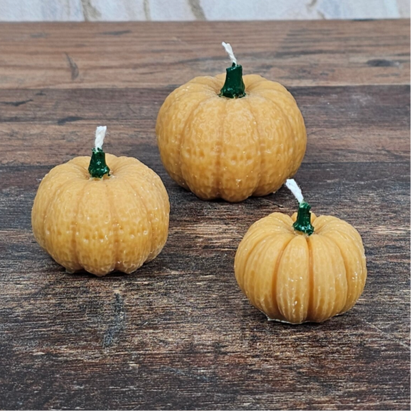 Kürbisse 3er Set