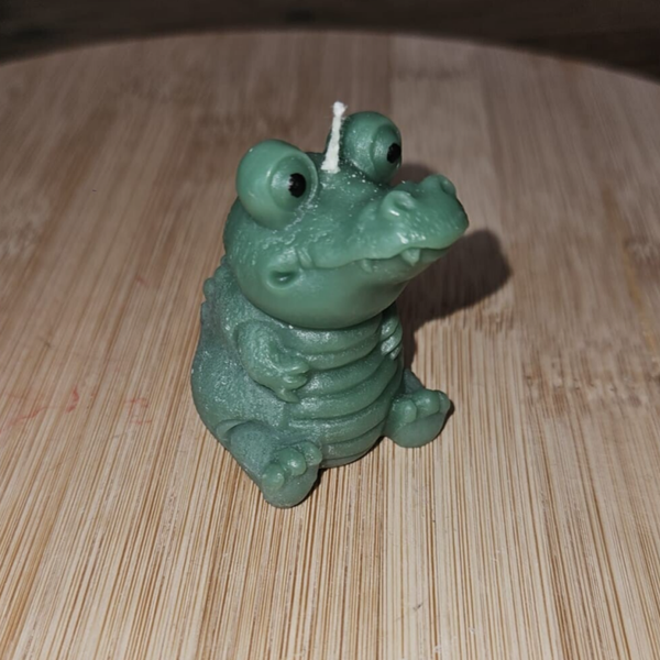 Krokodile (2)