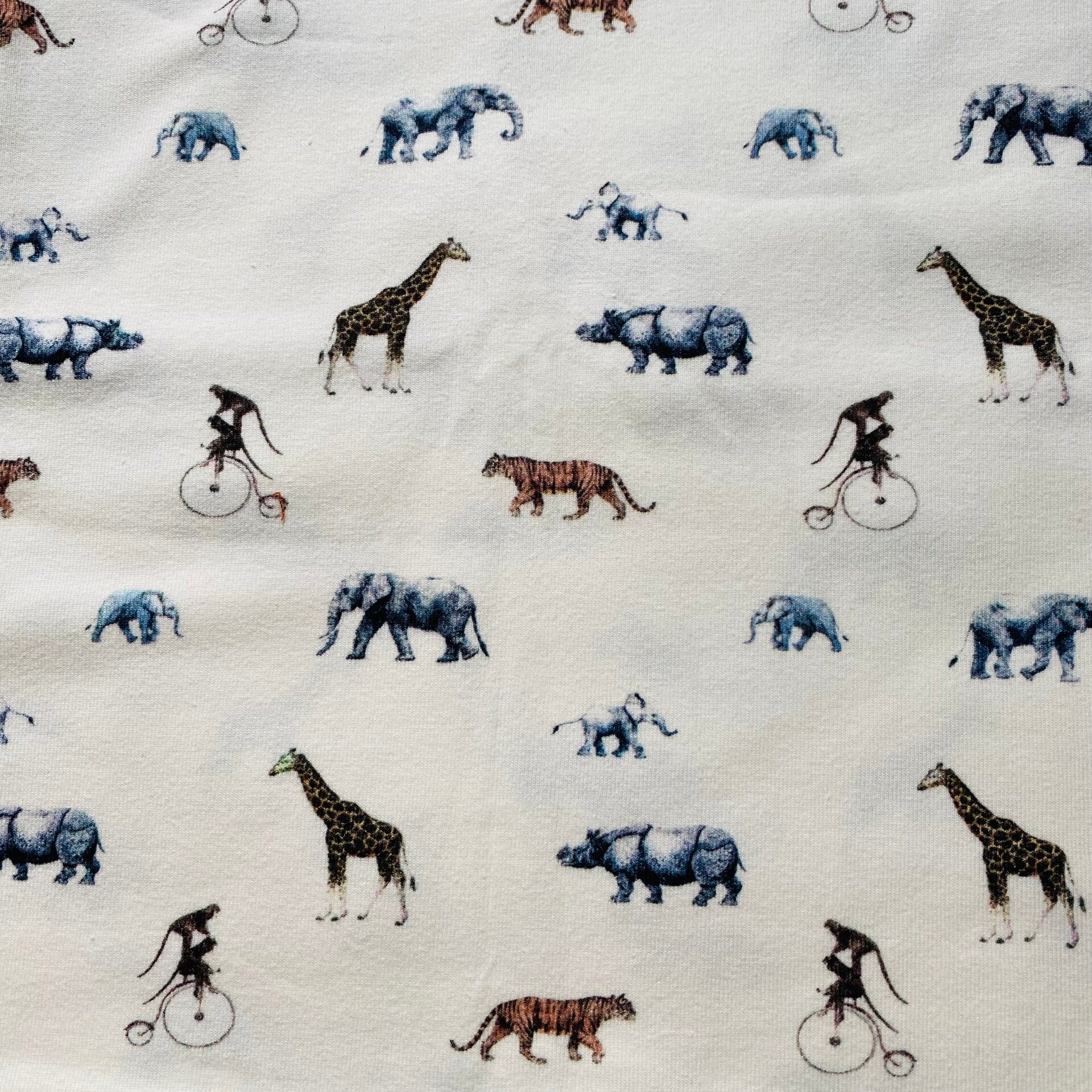 1072 - dieren