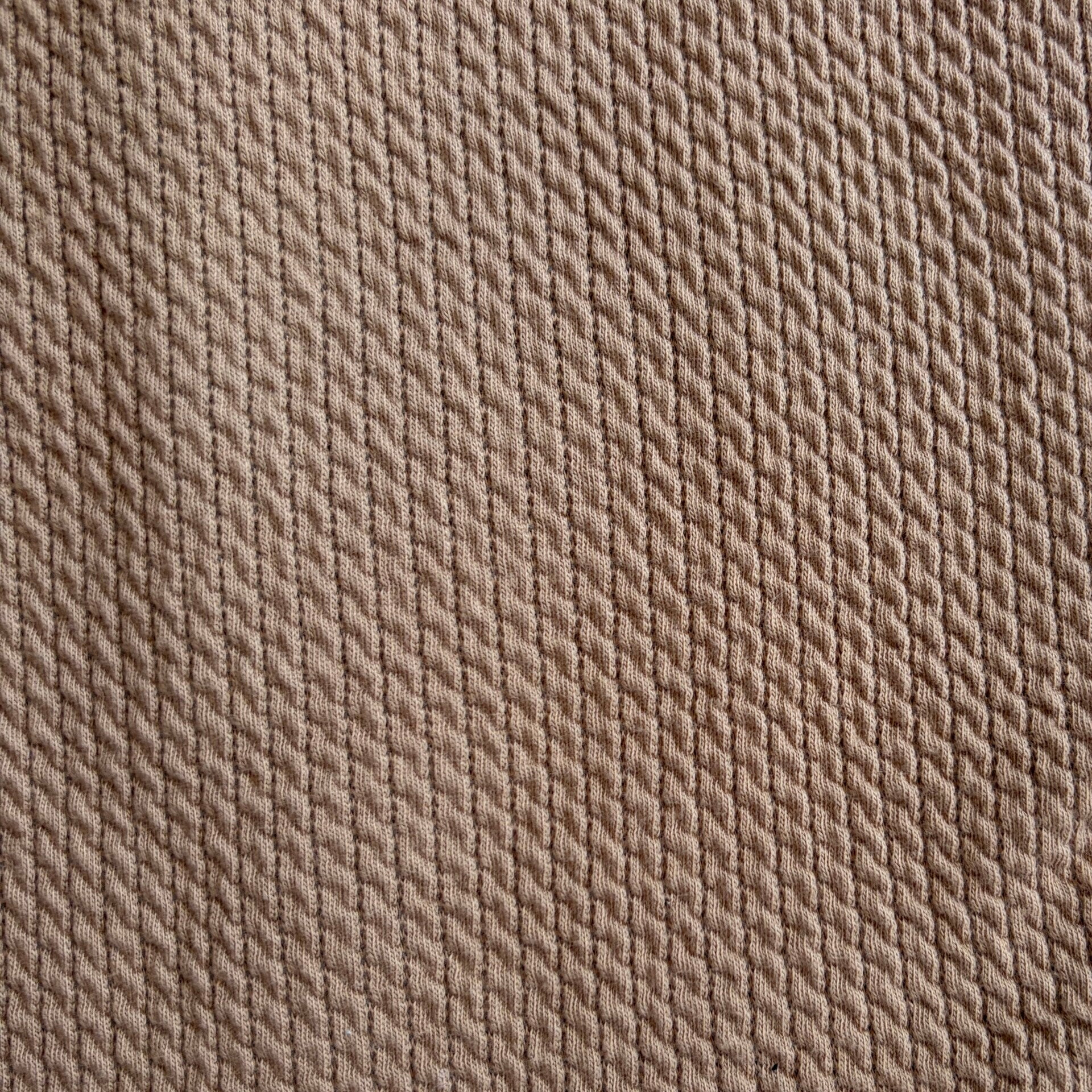 2041 - camel tabel