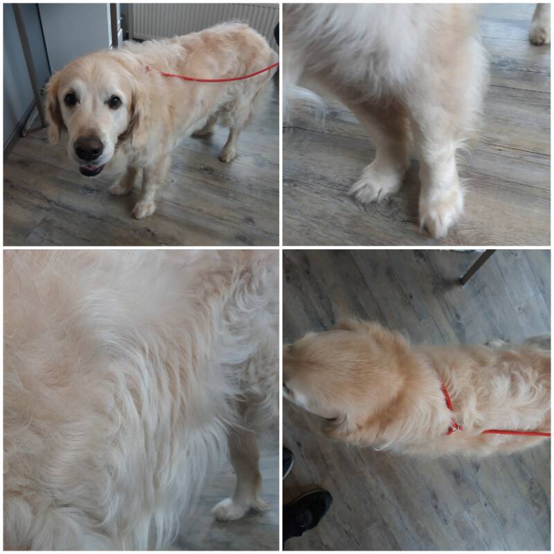 Nafta voor de behandeling