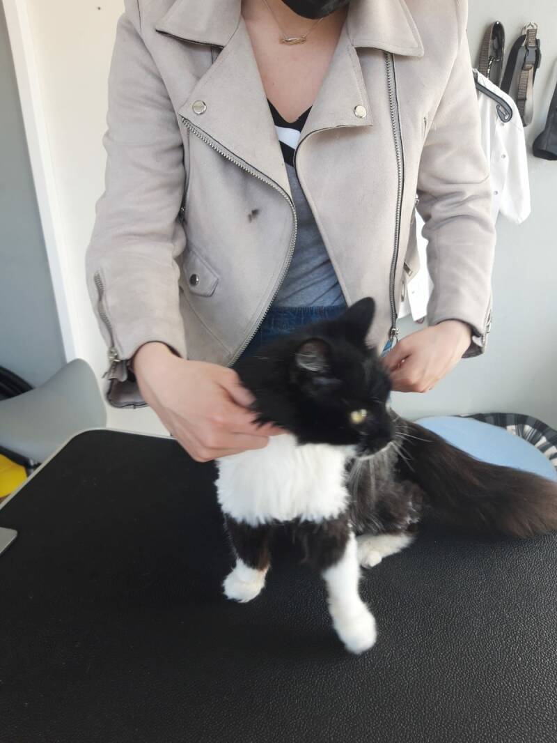 Was voor hem de eerste keer bij een trimsalon. 