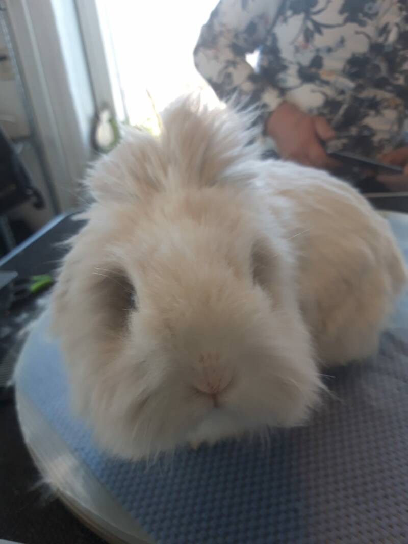 Bliksem na de behandeling