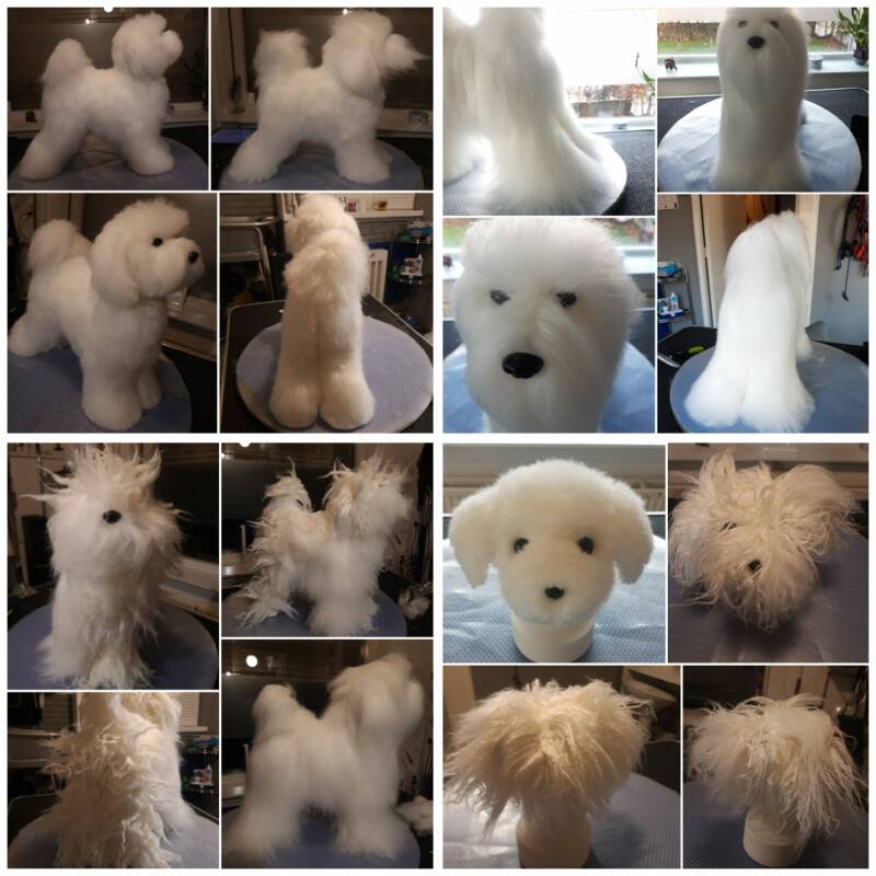 modelhond in model geknipt