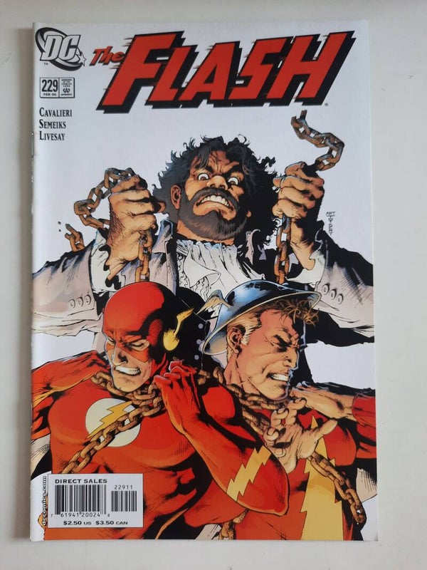 Flash #229