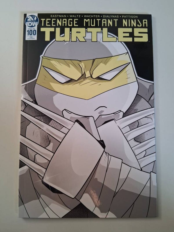 Teenage Mutant Ninja Turtles #100