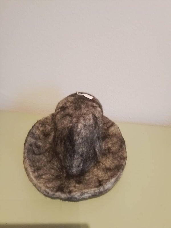 Biologisch gevilte hoed