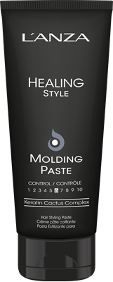 Molding Paste