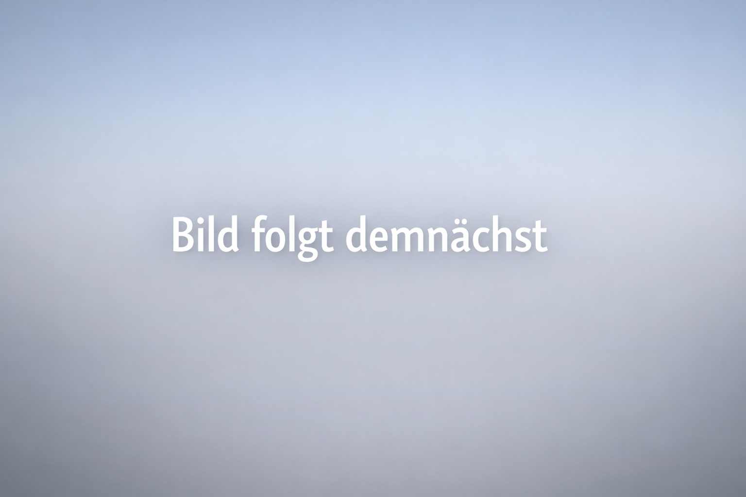 Nadine Ammann Hundeführerin Bettwanzensuchhunde