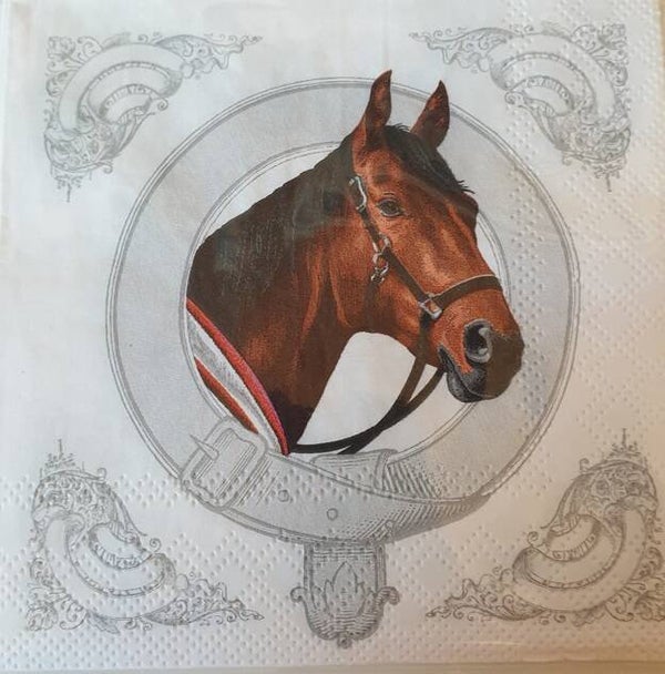 Paard 1.100.013