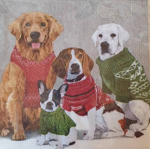 Honden 1.102.021