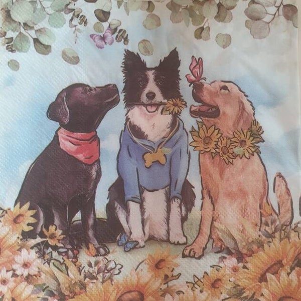 Honden 1.102.024
