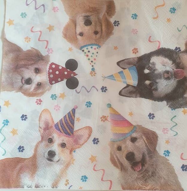 Honden 1.102.025