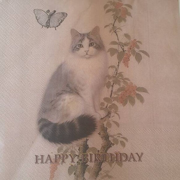 Katten 1.103.021