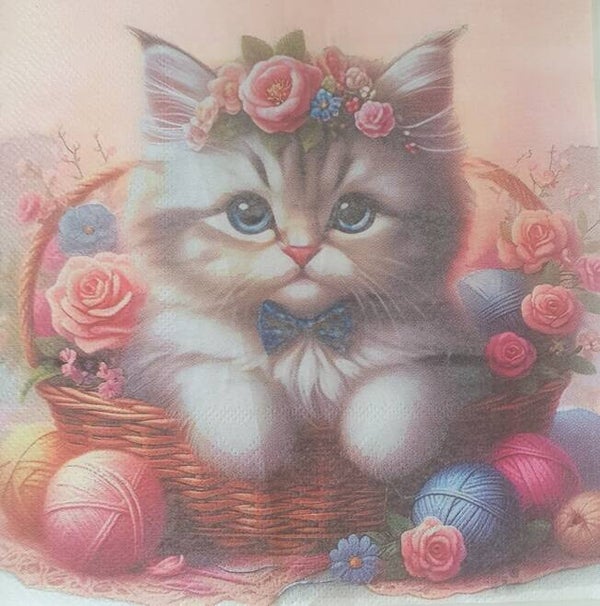 Katten 1.103.023