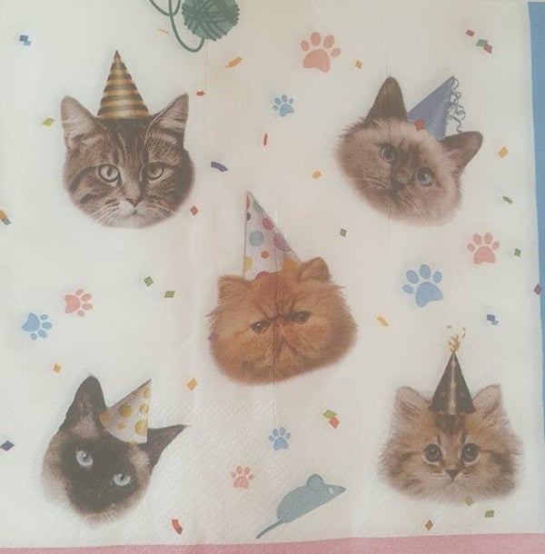 Katten 1.103.025