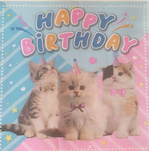 Katten 1.103.026