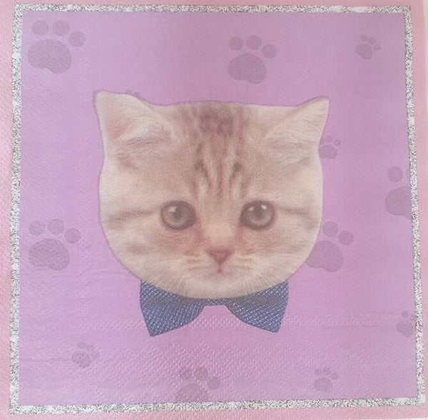 Katten 1.103.028