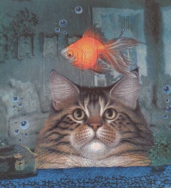 Katten 1.103.031