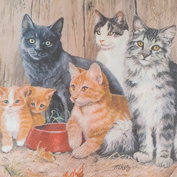Katten 1.103.032
