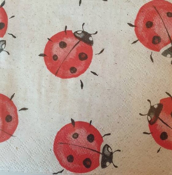 Overige dieren 1.107.024
