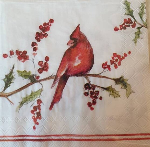 Vogels 1.109.067