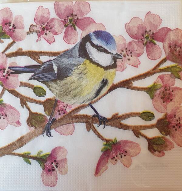Vogels 1.109.069