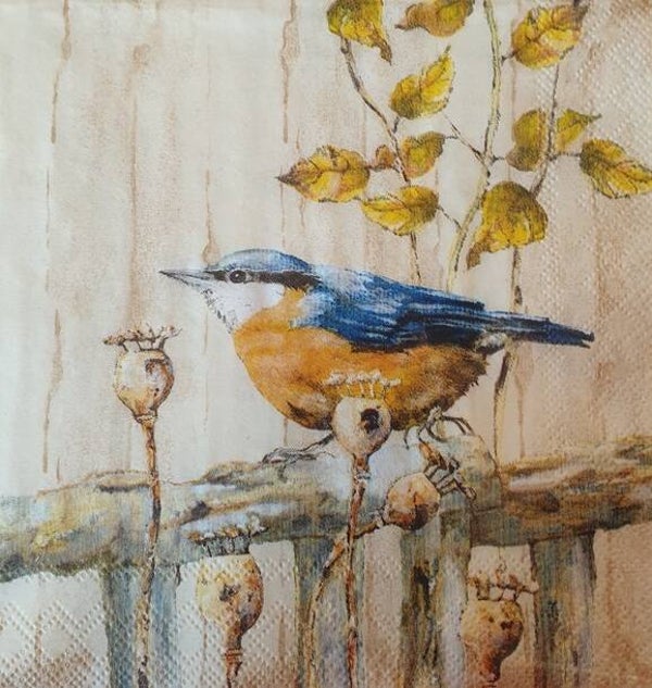 Vogels 1.109.074
