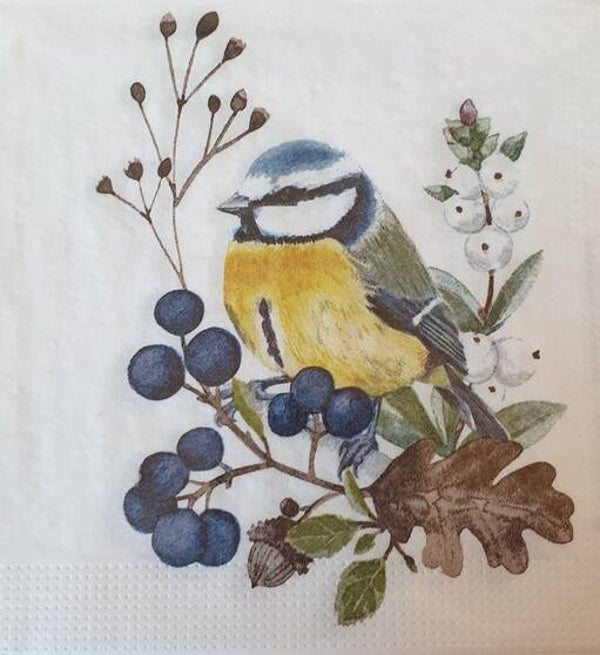 Vogels 1.109.077